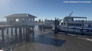 Georgia dock walkway collapse aftermath caught on video