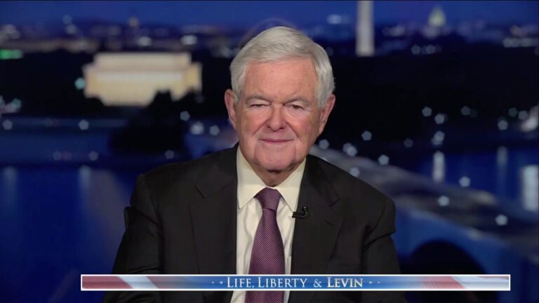 We’ll win by outworking and outarguing our competitors: Newt Gingrich