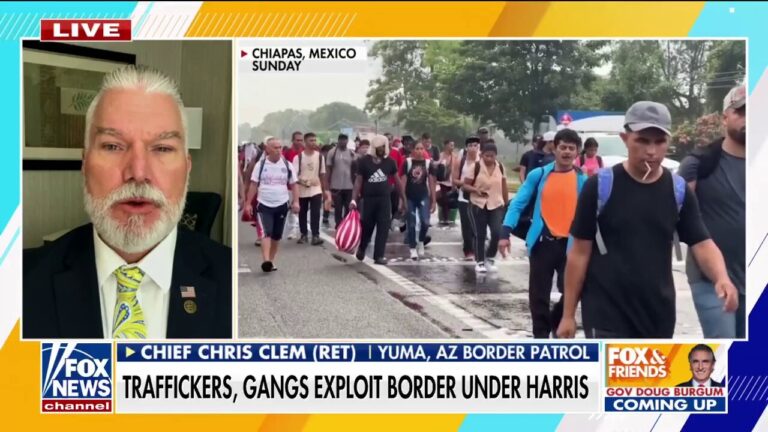 Former Border Patrol agent accuses Biden admin of 'aiding and abetting' border crisis