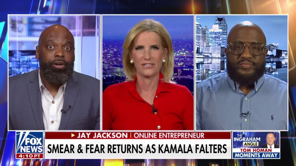 Black male voter pans 'insulting' Kamala Harris pitch: Trying to 'sell us on scraps'