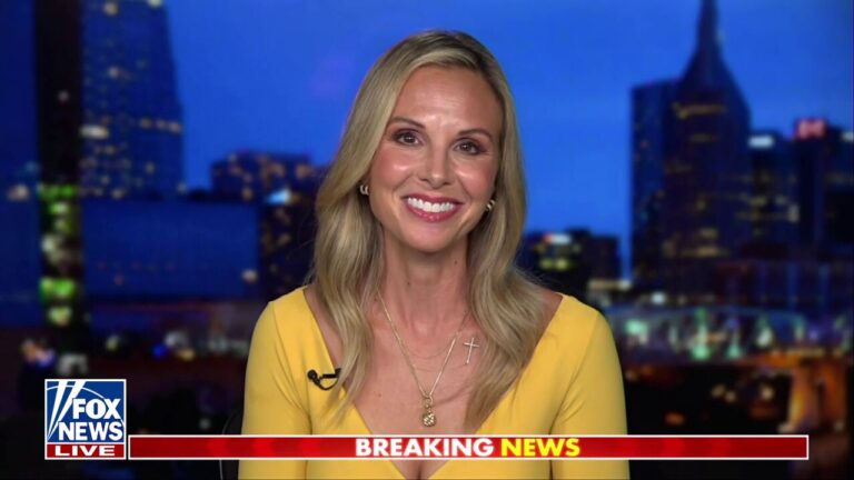 Dems, liberal media are trying to give viewers a ‘political concussion,’ Elisabeth Hasselbeck says