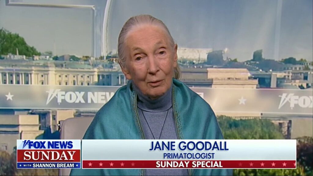 Jane Goodall encourages people to 'vote for nature': It's the 'future of the very planet on which we depend'