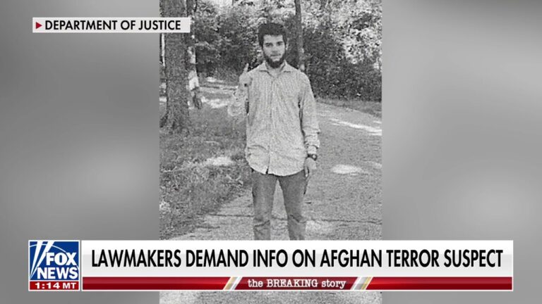 Afghan man charged in Election Day terror plot, lawmakers demand answers