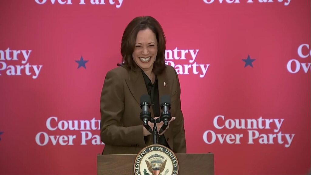 Kamala Harris story at Arizona rally about late senator questioned by Meghan McCain