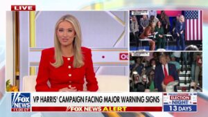 McEnany: Even the liberal media is starting to panic