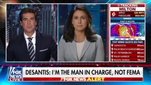 Tulsi Gabbard: They are revealing themselves over and over again to be dictators