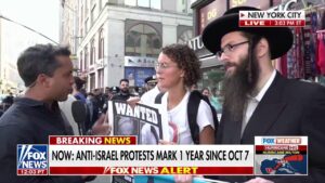 Anti-Israel protester in New York: We're marching with our Jewish brothers to demand peace