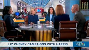 MSNBC host says Harris' campaign in dire straits with male voters