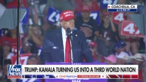 'How dumb an answer': Trump decries Kamala Harris' 'disqualifying' response on what she'd do differently in past 4 years than Biden