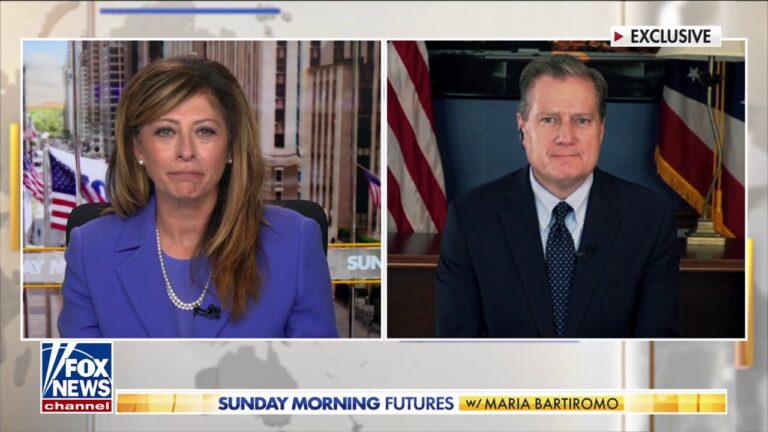 Kamala Harris has been ‘lukewarm’ on her support for Israel: Rep. Mike Turner