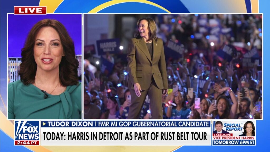 Kamala Harris has 'big problems' in Michigan amid plans to campaign in Rust Belt: Tudor Dixon