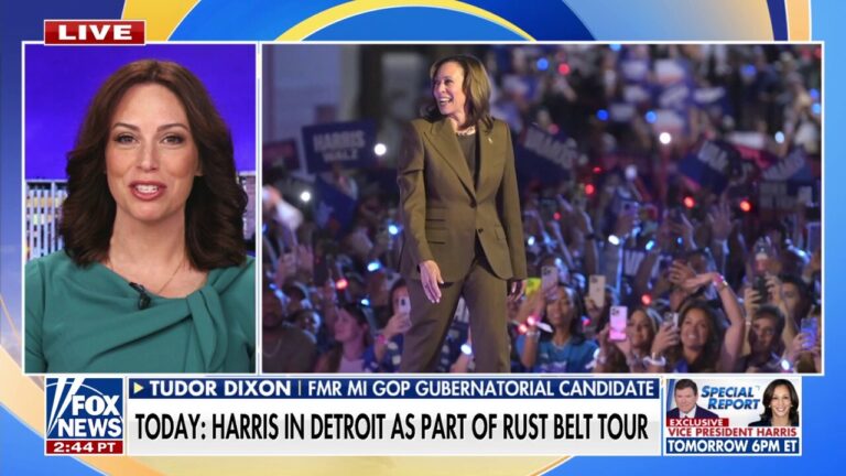 Kamala Harris has 'big problems' in Michigan amid plans to campaign in Rust Belt: Tudor Dixon