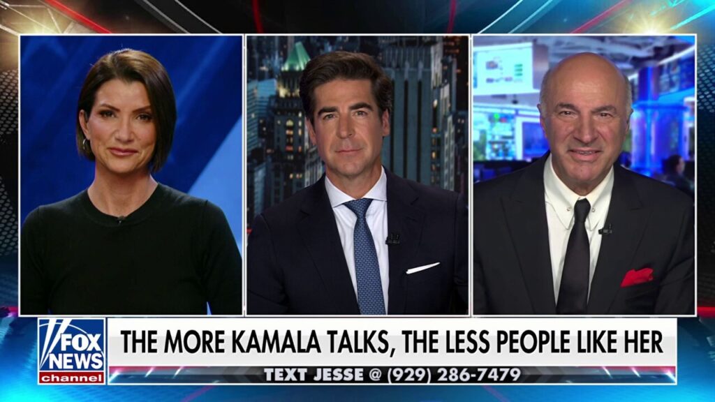 Kamala Harris 'just does not connect with people,' says Dana Loesch