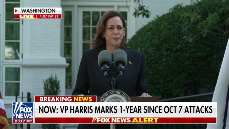 I'm devastated by the pain and loss that occurred on Oct. 7: Kamala Harris