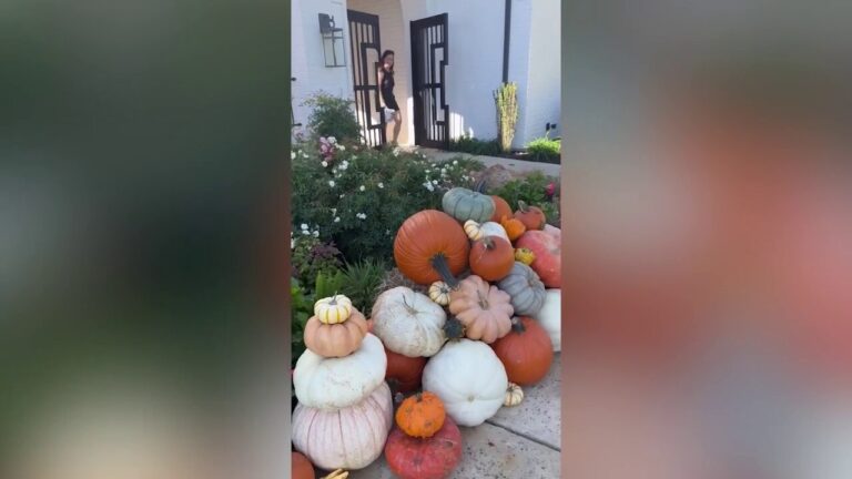 Woman's side hustle has her decorating front porches with pumpkins