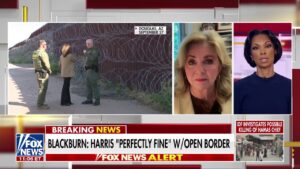 Sen. Blackburn hits Kamala Harris for 'refusing to take responsibility' for border