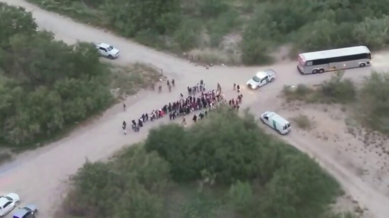 A group of 134 illegal immigrants spotted in Texas near southern border