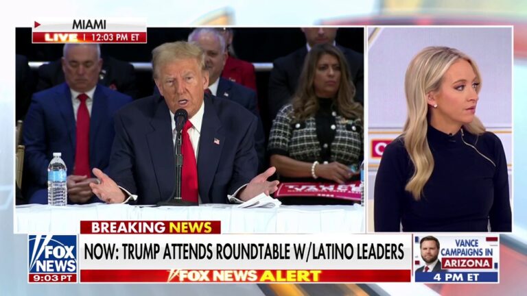 McEnany: 'No one would have predicted' Trump could do this well with minority voters