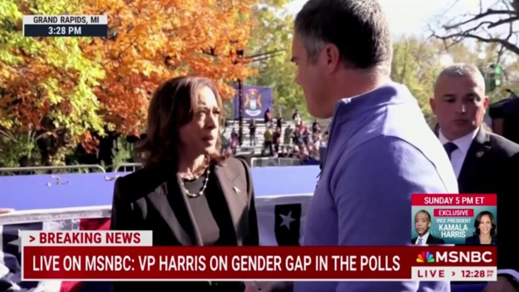 MONTAGE: Kamala Harris says it's not her 'experience' when confronted with lagging support from various voting groups