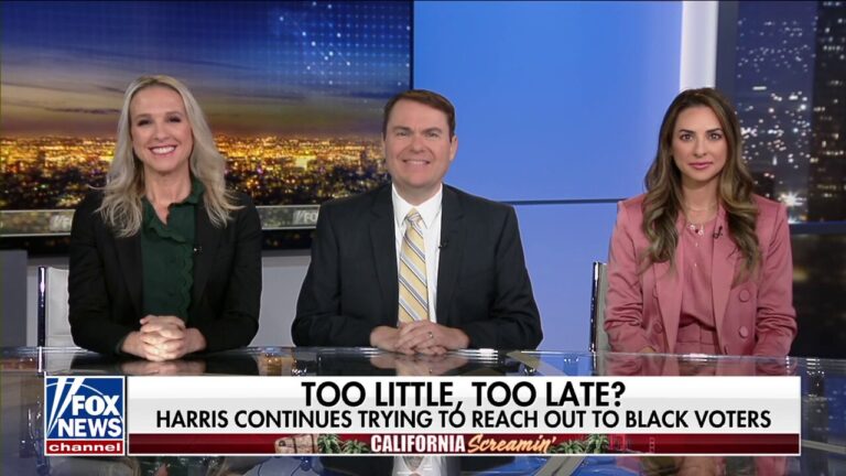 The Black community realizes Democrats have sold them out: Carl Demaio