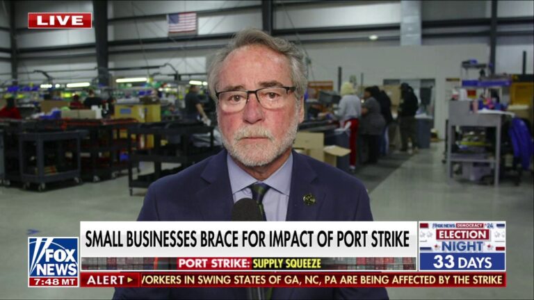 Businesses are being ‘hit from all sides’ amid port strike: CEO Bryan Ganz