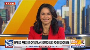 Tulsi Gabbard: This is another example of Harris ‘lying to the American people’