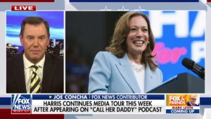 Kamala Harris ripped for upcoming 'softball media blitz': It's a 'bad strategy'