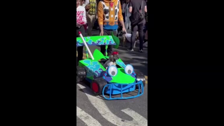 Dogs dressed for Halloween light up the streets of NYC