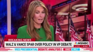 MSNBC's Nicolle Wallace claims worst moment for Vance was when he tried to 'mansplain' over muted mics