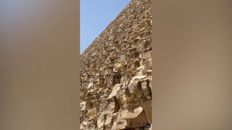 Daring dog on top of ancient Egyptian pyramid makes expert descent