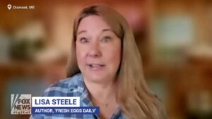 On World Egg Day, author reveals 'gold standard' of eggs found at grocery stores