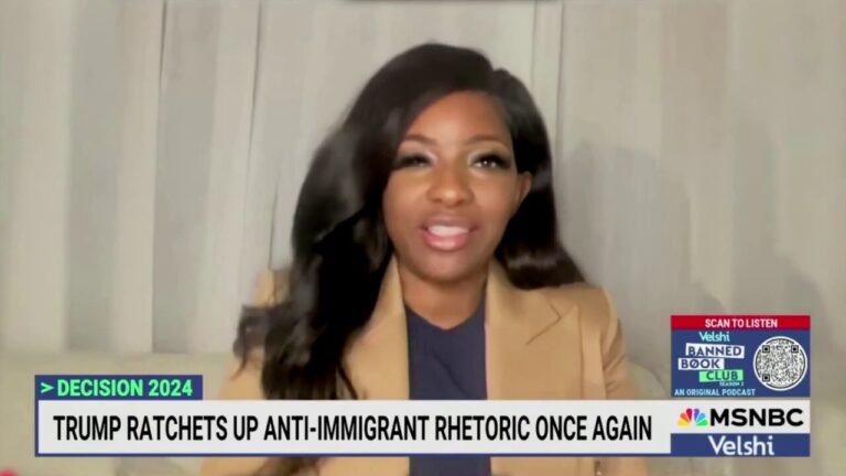 Dem representative: It's the MAGA gang, not migrants, terrorizing cities