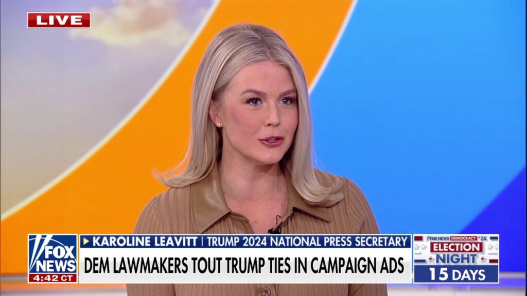 Karoline Leavitt on swing state Democrats touting ties to Trump: This is the 'writing on the wall'