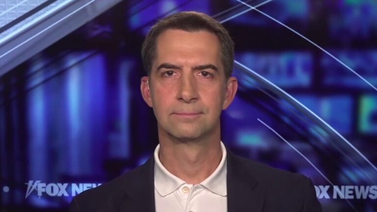 Sen. Tom Cotton: Biden, Harris put more pressure on Israel than Hamas