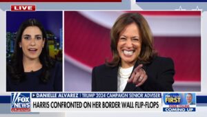 Kamala Harris called out for 'non-answers' during CNN town hall