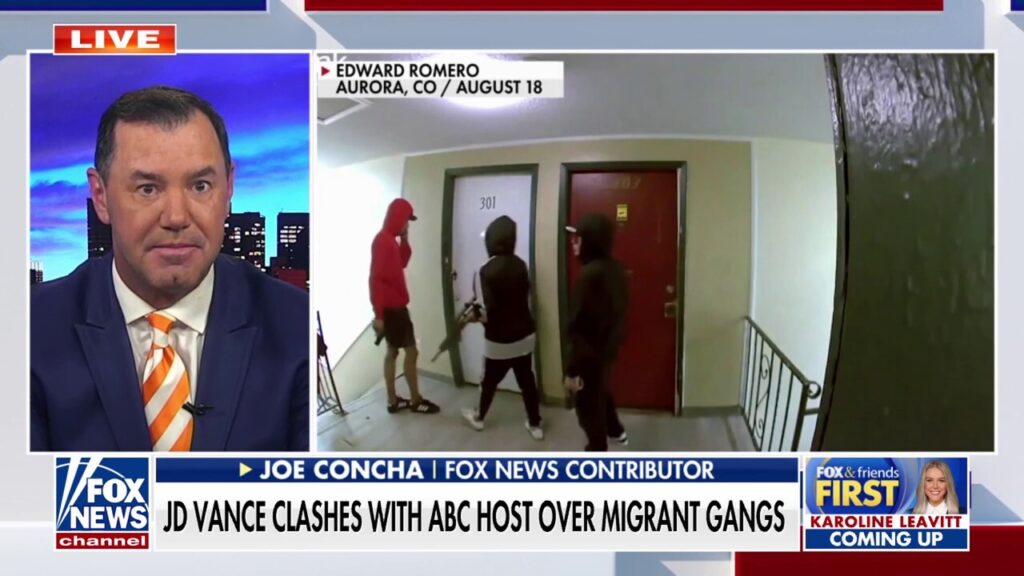 ABC host slammed for 'pathetic' exchange with JD Vance on migrant gangs