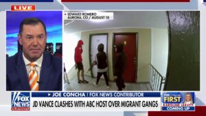 ABC host slammed for 'pathetic' exchange with JD Vance on migrant gangs