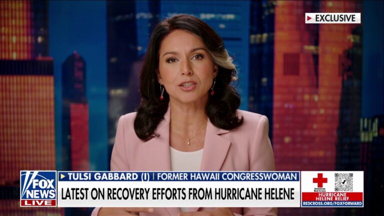 FEMA's Helene failures are 'slap in the face' to Americans in need: Tulsi Gabbard