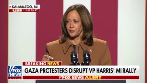 Protesters interrupt Kamala Harris' Michigan rally: 'No more Gaza war!'