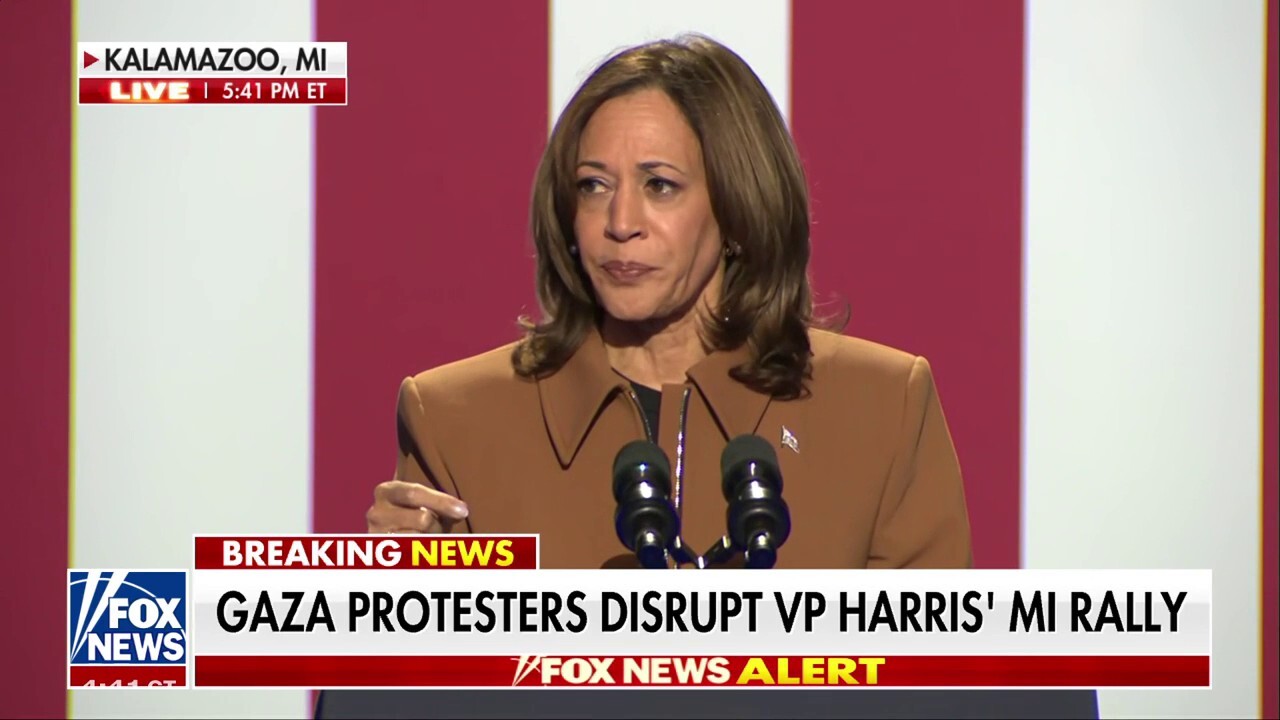 Protesters interrupt Kamala Harris' Michigan rally: 'No more Gaza war!'
