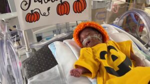 NICU babies at Florida hospital get in the Halloween spirit: 'Enchanting display'