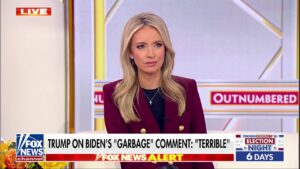 McEnany: Has Harris 'stood up' every time Biden pushed division?