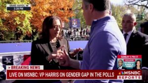 Harris struggles to name 'one policy' that differentiates her from Biden