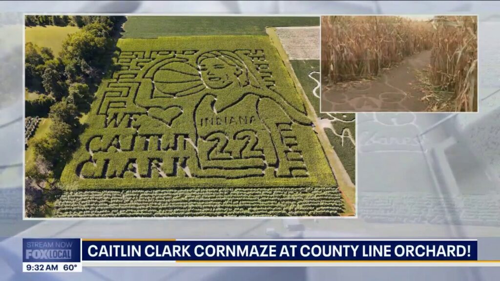 Indiana orchard carves stunning Caitlin Clark tribute into corn maze