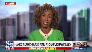 Sage Steele roasts Obama for ‘scolding’ Black voters: ‘Stop it!’