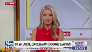 Kayleigh McEnany: Tension with Biden could derail Harris' campaign