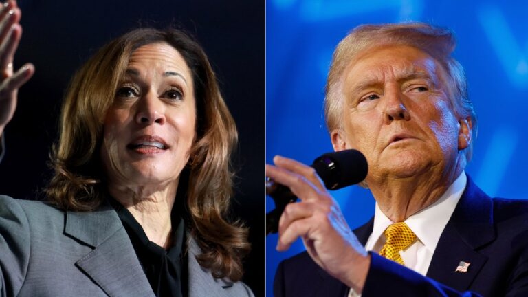 Voters in key battleground states give Trump an edge over Harris on this top tier issue: poll