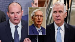 Hard-line GOP effort to decentralize Senate leader authority dashed by McConnell ally