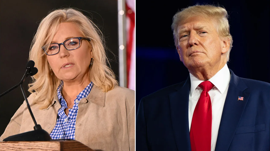 Trump calls Liz Cheney a 'low IQ war hawk' after appearance in support of Harris