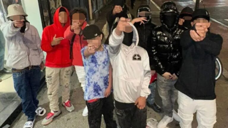 Juvenile illegal immigrant gang members behind robbery spree stay out of jail due to age